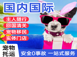 抚远航空托运国际宠物托运 【国